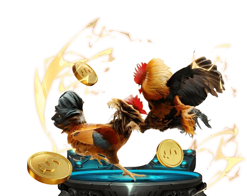 Tư Cách Thành Viên Brazil999